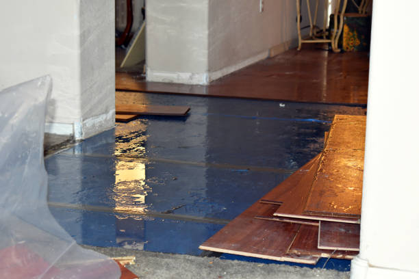 Professional Water Damage Restoration technician working in Chester, PA